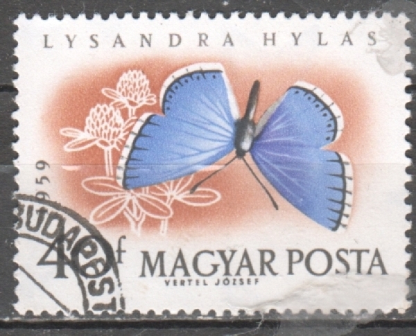 H 1635 ● - 1959
